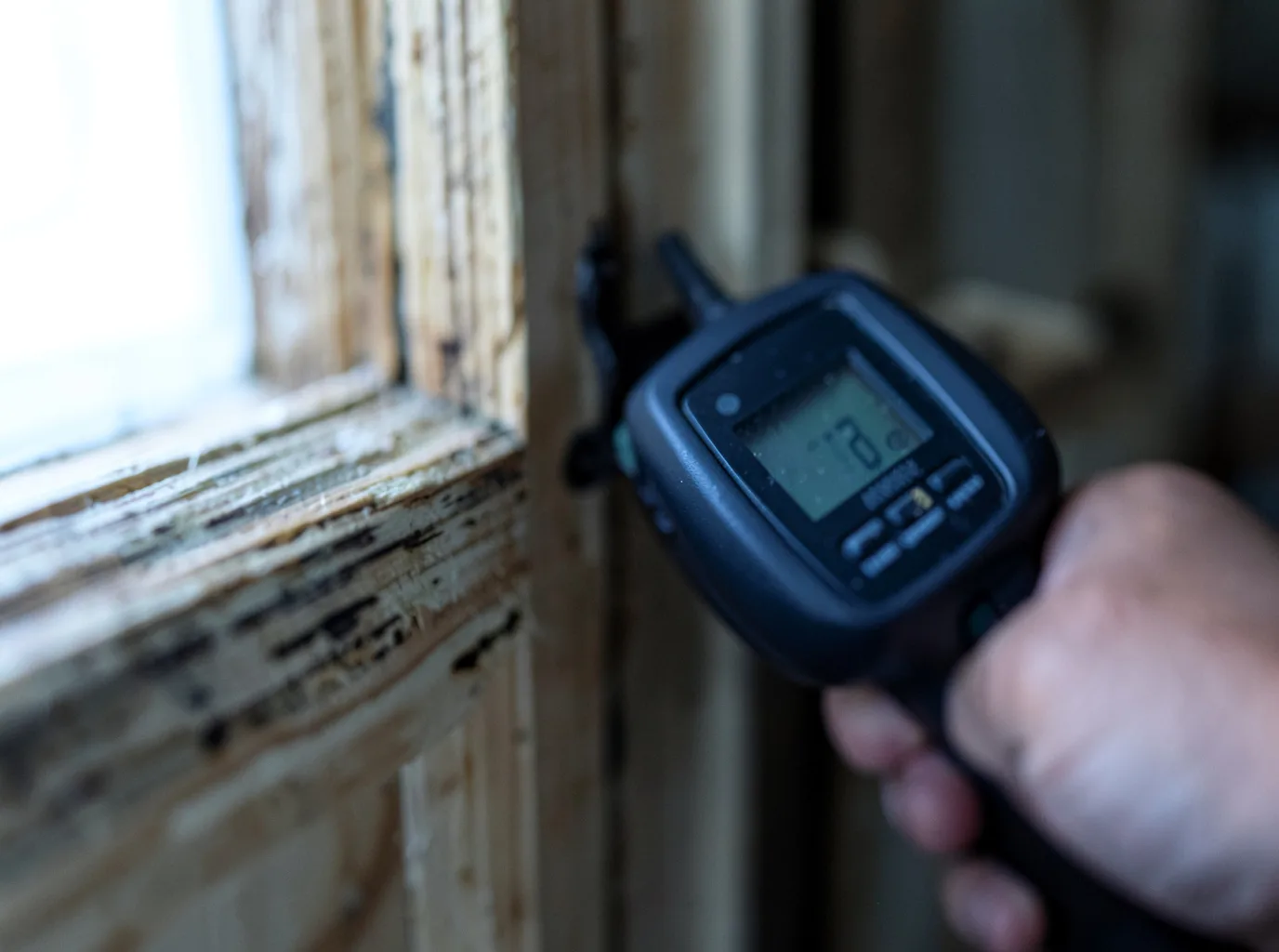 Moisture Inspection And Documentation in Ridgeley, WV